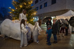 DS909177-Verbessert-RR-Large