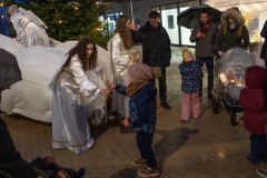 DS909179-Verbessert-RR-Large