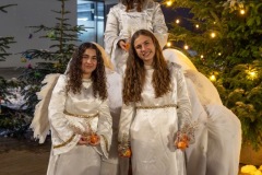 DS909207-Verbessert-RR-Large