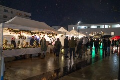 DS909247-Verbessert-RR-Large