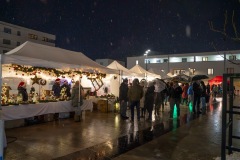 DS909248-Verbessert-RR-Large