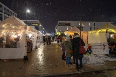 DS909260-Verbessert-RR-Large