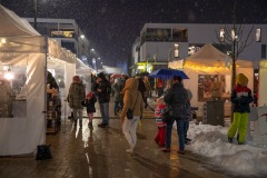 DS909262-Verbessert-RR-Large