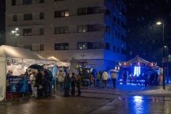 DS909264-Verbessert-RR-Large