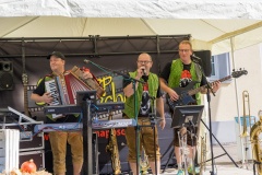 goldoct-2023-10-119-ai