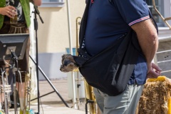 goldoct-2023-10-122-ai