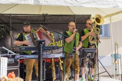 goldoct-2023-10-123-ai