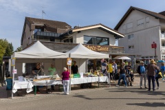 goldoct-2023-10-128-ai