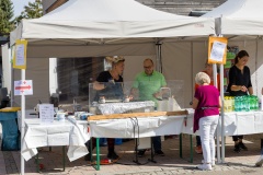 goldoct-2023-10-129-ai