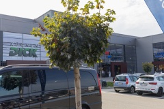 goldoct-2023-10-161-ai