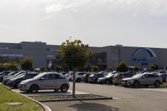 goldoct-2023-10-177-ai