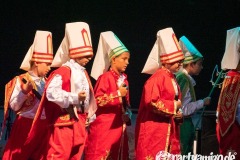 michael_lauchringen_nachtderkulturen_20190712_012